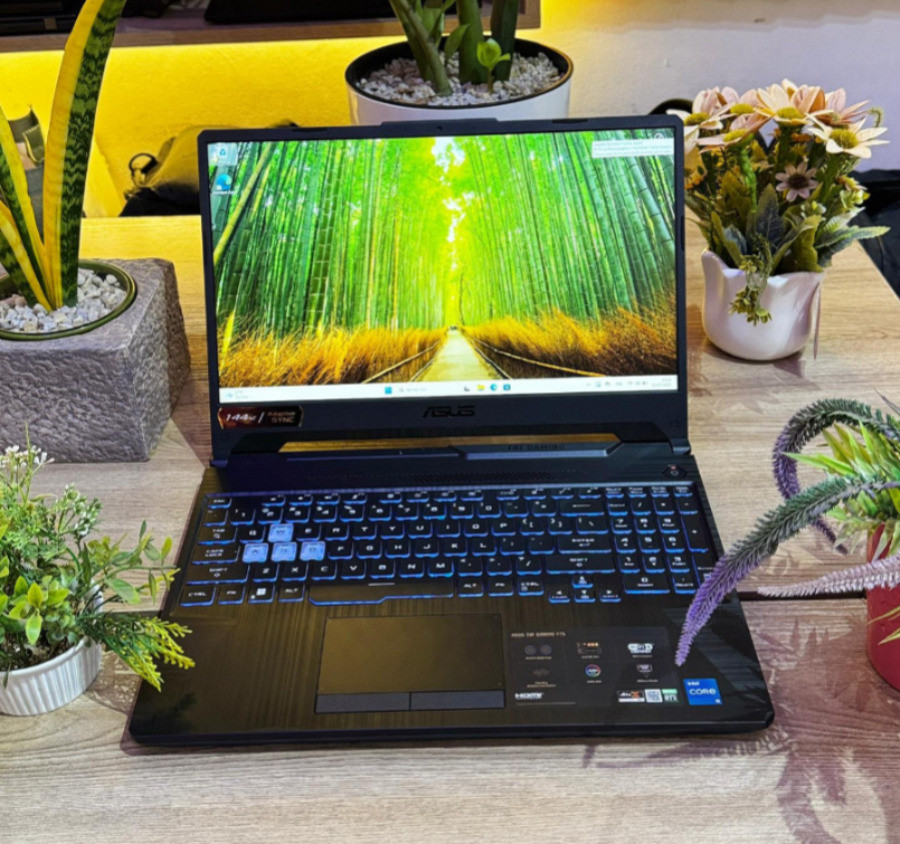 ASUS TUF GAMING FX506H