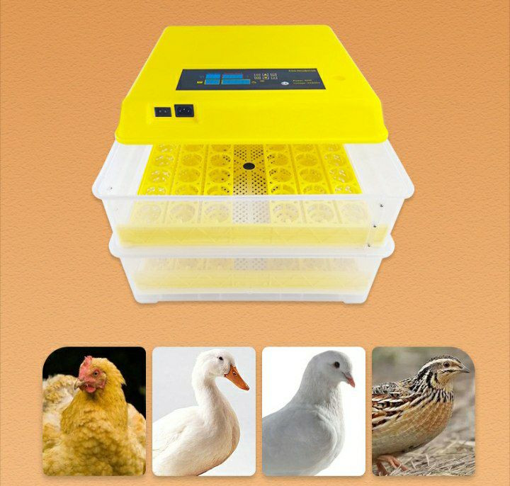 un incubateur d'œufs automatique conçu pour simuler les conditions naturelles nécessaires au développement et à l'éclosion des œufs.